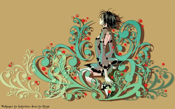 Anime picture 1680x1050 with trinity blood gonzo seth nightroad single short hair black hair red eyes wide image profile back girl dress short dress