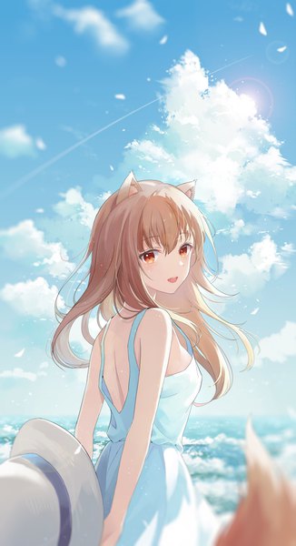 Anime picture 3053x5626 with spice and wolf horo sternenzelt single long hair tall image looking at viewer fringe highres open mouth smile hair between eyes brown hair standing holding animal ears absurdres sky cloud (clouds) outdoors