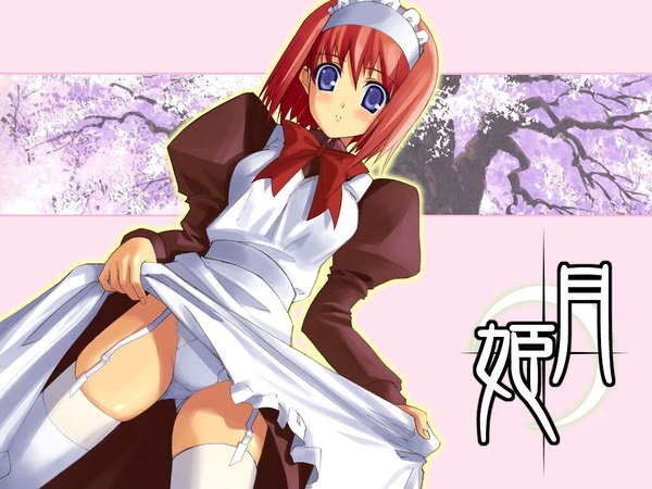 Anime picture 1024x768 with shingetsutan tsukihime type-moon hisui (tsukihime) light erotic maid thighhighs underwear panties