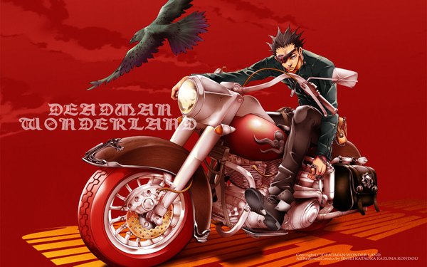 Anime picture 1680x1050 with deadman wonderland senji kiyomasa single short hair black hair wide image red background jpeg artifacts boy animal jacket boots bird (birds) pants eyepatch crow motorcycle