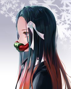 Anime picture 2480x3107