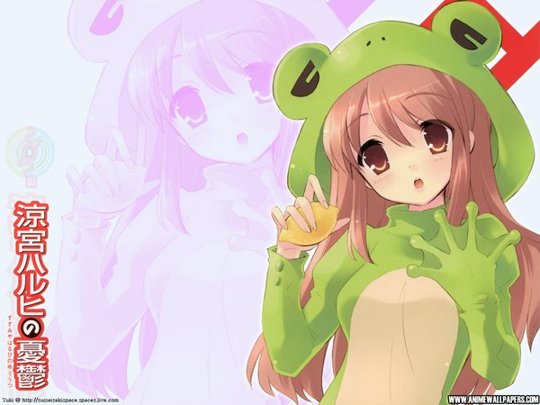 Anime picture 1024x768 with suzumiya haruhi no yuutsu kyoto animation asahina mikuru girl frog lemon