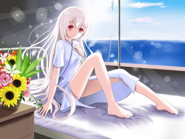 Anime picture 1200x900 with setona (daice) long hair red eyes white hair sunlight girl flower (flowers) window bed