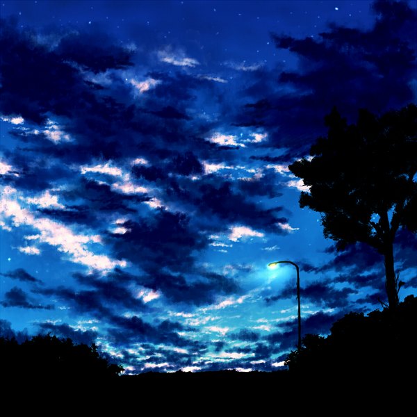 Anime picture 1000x1000 with original kibunya 39 sky cloud (clouds) night no people landscape plant (plants) tree (trees) lamp