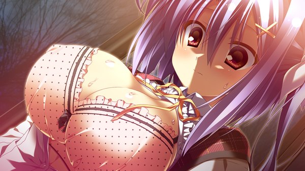 Anime picture 1280x720 with 12 no tsuki no eve shiina anzu single looking at viewer blush short hair breasts light erotic red eyes wide image large breasts blue hair game cg girl lingerie bra polka dot bra