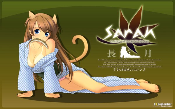 Anime picture 1920x1200 with original dlsite.com sarah (you haruka) you haruka long hair highres breasts blue eyes light erotic brown hair wide image animal ears tail japanese clothes girl underwear panties fish (fishes)