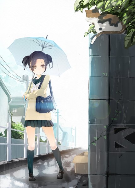 Anime picture 1000x1398 with love plus kobayakawa rinko kotobuki ryou (artist) single tall image short hair black hair twintails brown eyes short twintails rain girl skirt uniform school uniform animal socks black socks umbrella cat