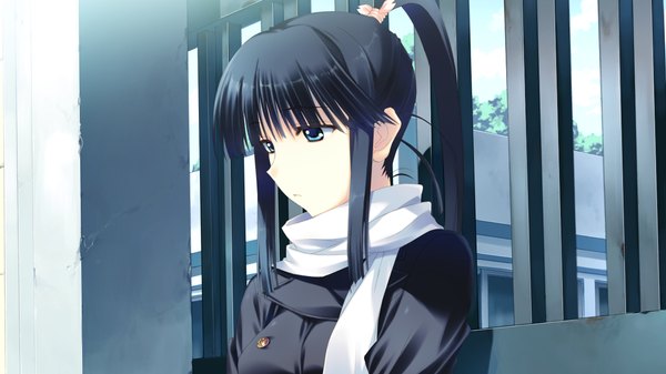 Anime picture 1280x720 with white album 2 touma kazusa single long hair blue eyes black hair wide image game cg ponytail girl jacket scarf