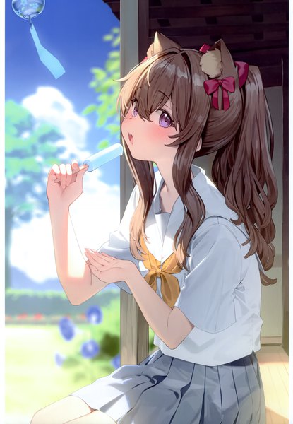 Anime picture 2406x3481 with original nyum single long hair tall image looking at viewer blush fringe highres open mouth hair between eyes brown hair sitting purple eyes holding animal ears sky outdoors ponytail head tilt