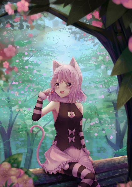Anime picture 1000x1414 with original sonikey0 0 tall image looking at viewer blush short hair open mouth brown eyes animal ears pink hair tail animal tail cat ears cat girl cat tail girl thighhighs dress flower (flowers) petals