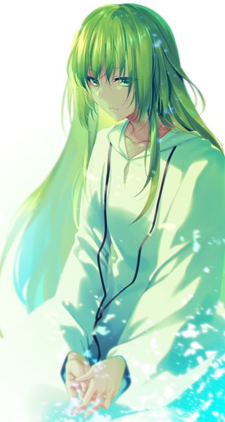 Anime picture 800x1500 with fate (series) fate/grand order enkidu (fate) rinu single long hair tall image fringe simple background white background green eyes green hair looking down hands clasped boy hood