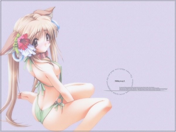 Anime picture 1024x768 with long hair light erotic blonde hair sitting brown eyes animal ears ass wallpaper dog ears swimsuit collar