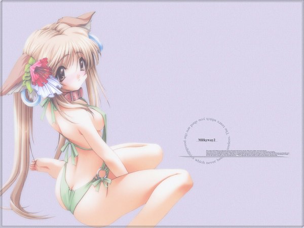 イラスト 1024x768 と 長髪 light erotic 金髪 座る 茶目 獣耳 尻 壁紙 dog ears 水着 首輪