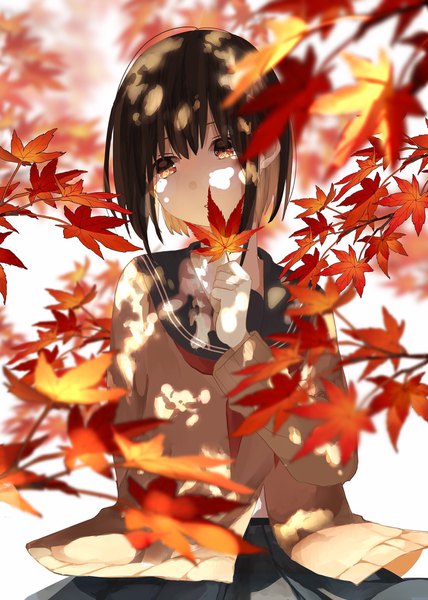 Anime picture 1460x2048 with original yuzua single tall image short hair brown hair holding brown eyes looking away upper body depth of field shaded face autumn girl uniform serafuku leaf (leaves) cardigan autumn leaves maple leaf