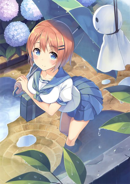 Anime picture 2478x3500 with original ichikura single tall image blush highres short hair blue eyes brown hair scan official art girl skirt uniform flower (flowers) miniskirt socks serafuku leaf (leaves) black socks