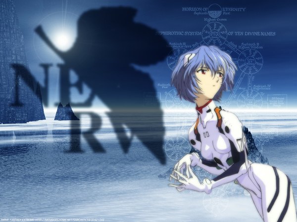 Anime picture 1024x768 with neon genesis evangelion gainax ayanami rei nerv tagme
