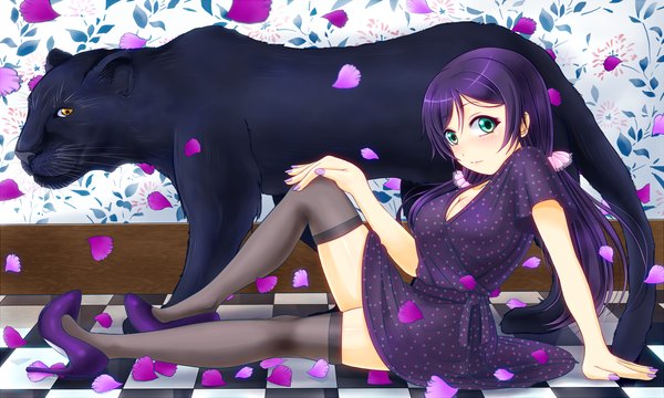 Anime picture 1833x1100 with love live! school idol project sunrise (studio) love live! toujou nozomi hiro9779 single long hair looking at viewer blush highres breasts light erotic wide image twintails brown eyes green eyes cleavage purple hair bent knee (knees) indoors