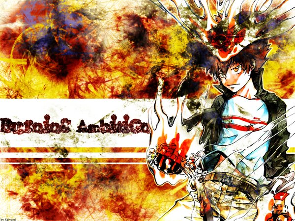 Anime picture 1024x768 with katekyou hitman reborn sawada tsunayoshi tagme