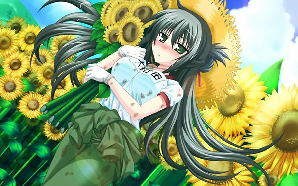 Anime picture 1024x640 with doinaka channel 5 oowada sachi long hair blush black hair wide image green eyes game cg girl hat