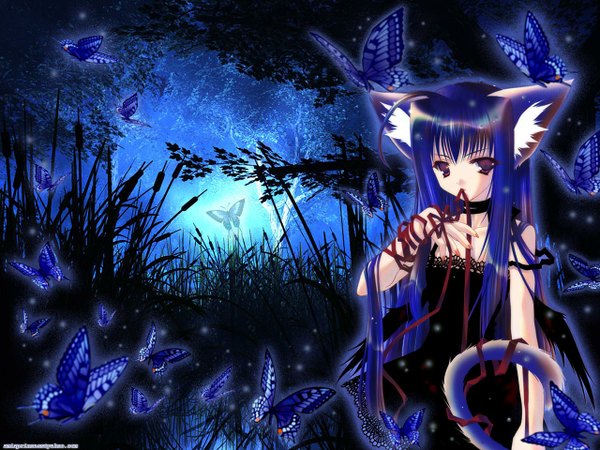 Anime picture 1280x960 with purple eyes animal ears cat girl girl ribbon (ribbons) insect butterfly