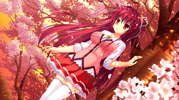 Anime picture 2560x1440 with love la bride sakuranomori misaki takano yuki (allegro mistic) single long hair highres open mouth red eyes wide image game cg red hair cherry blossoms girl thighhighs skirt uniform hair ornament plant (plants) school uniform petals