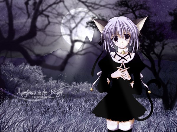 Anime picture 1280x960 with nanao naru animal ears cat girl girl tagme