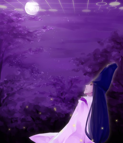 Anime picture 2500x2900 with hikaru no go studio pierrot fujiwara no sai aria (pixiv) single long hair tall image highres black hair traditional clothes profile night looking up boy plant (plants) hat tree (trees) moon full moon branch