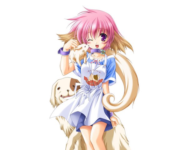 Anime picture 1280x1024 with a school life of heaven (artbook) single blush open mouth simple background standing white background purple eyes animal ears pink hair animal tail one eye closed wink girl skirt animal apron collar dog