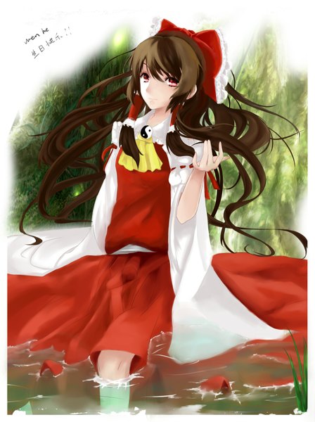 Anime picture 1333x1784 with touhou hakurei reimu darwinwu (artist) single long hair tall image black hair red eyes miko girl skirt skirt set