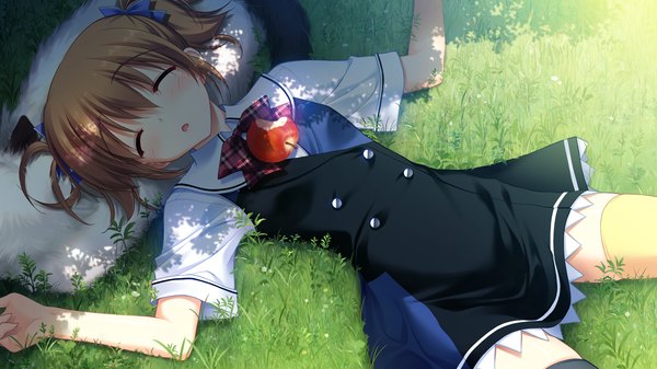 Anime picture 2048x1152 with grisaia no kajitsu irisu makina fumio (ura fmo) highres short hair brown hair wide image game cg lying eyes closed loli spread arms sleeping different thighhighs girl thighhighs plant (plants) cat grass fruit