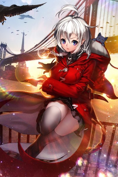Anime picture 1000x1500 with original rheez (artist) single tall image looking at viewer short hair blue eyes white hair parted lips girl thighhighs skirt black thighhighs miniskirt animal bird (birds) cat coat bridge crow