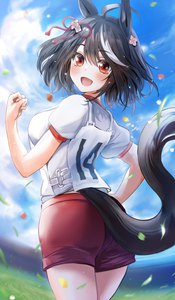 Anime-Bild 1800x3077