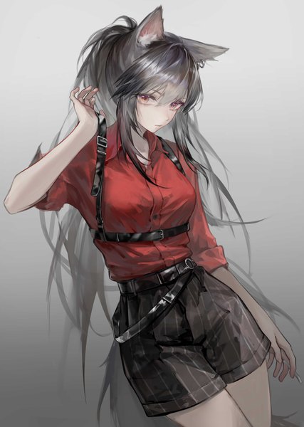 Anime picture 4240x5957 with arknights texas (arknights) texas (willpower) (arknights) qiangjitong single long hair tall image fringe highres black hair simple background hair between eyes red eyes animal ears absurdres ponytail tail animal tail grey background official alternate costume