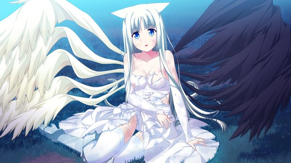 Anime picture 1280x720 with endless dungeon lince whitecastle kinta (distortion) single long hair looking at viewer open mouth blue eyes light erotic wide image animal ears game cg white hair cat ears torn clothes girl thighhighs dress white thighhighs wings