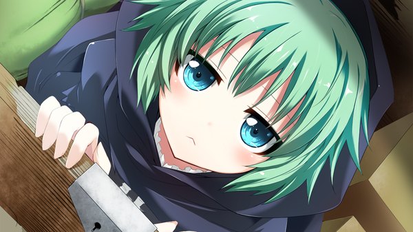 Anime picture 1280x720 with sangoku hime unicorn-a looking at viewer short hair blue eyes wide image game cg green hair loli girl