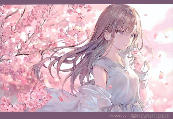 Anime picture 4243x2940 with original momoko (momopoco) single long hair blush fringe highres hair between eyes brown hair purple eyes holding looking away absurdres upper body wind scan text cherry blossoms border girl
