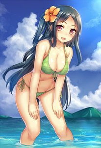 Anime picture 758x1100