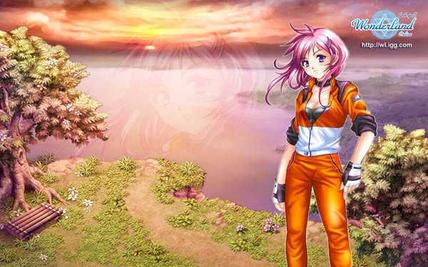 Anime picture 1680x1050 with wonderland online nicole (wonderland online) single long hair looking at viewer wide image standing purple eyes pink hair wallpaper copyright name floating hair evening sunset zoom layer twisty sleeves nature unzipped girl gloves
