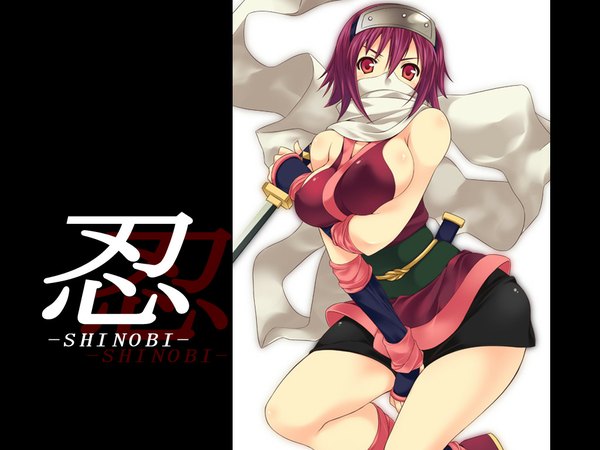 Anime picture 1024x768 with gouma reifuden izuna light erotic ninja tagme