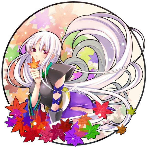 Anime picture 1000x1000 with katanagatari white fox togame cocoa (cafe-hotcocoa) single long hair looking at viewer blush simple background white background white hair japanese clothes pink eyes girl leaf (leaves)