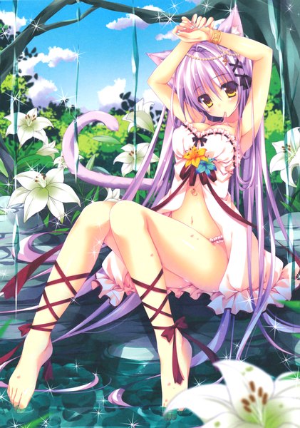 Anime picture 2218x3161 with nanaroba hana single tall image highres light erotic bare shoulders animal ears yellow eyes absurdres cleavage purple hair animal tail barefoot cat ears arms up armpit (armpits) cat tail pantyshot legs mouth hold