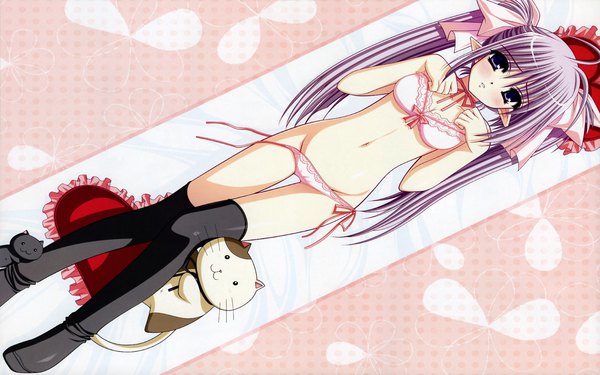 Anime picture 1680x1050 with shuffle! primula nishimata aoi light erotic wide image underwear panties