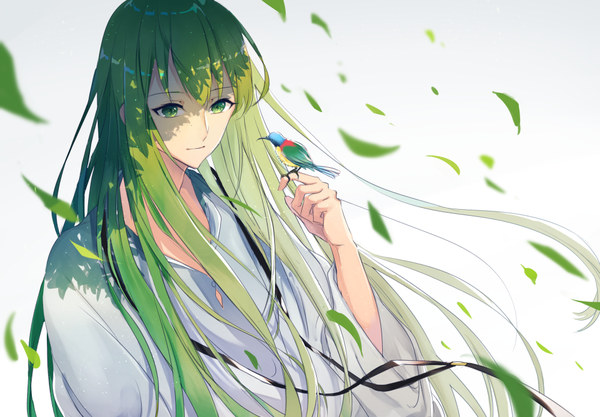 Anime picture 1000x696 with fate (series) fate/strange fake enkidu (fate) kusaka kou single long hair simple background green eyes looking away green hair wind shaded face androgynous bird on hand boy animal bird (birds) leaf (leaves)