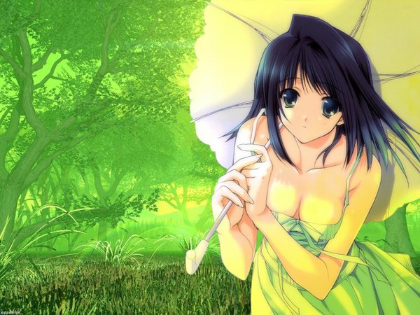 Anime picture 1280x960 with suzuhira hiro single light erotic girl plant (plants) tree (trees) umbrella grass