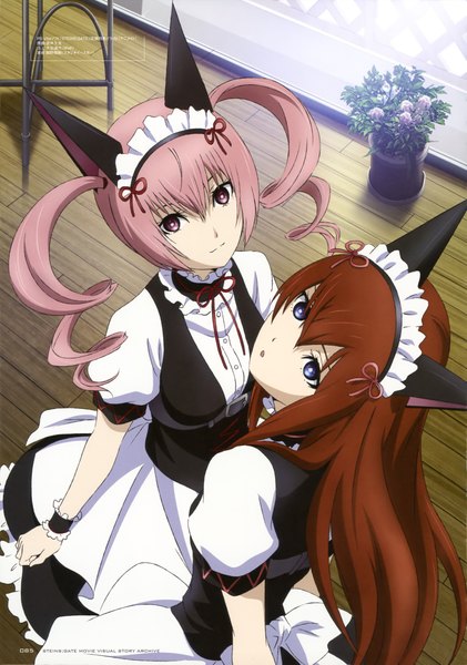 Anime picture 2870x4094 with steins;gate white fox makise kurisu faris nyannyan sakai kyuuta long hair tall image looking at viewer highres blue eyes brown hair twintails multiple girls animal ears pink hair pink eyes scan maid drill hair girl