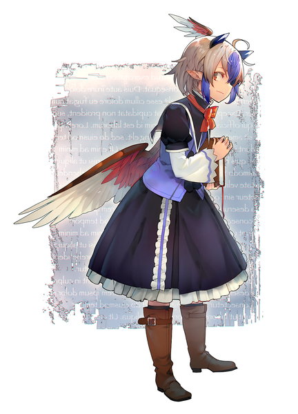 Anime-Bild 1080x1500 mit touhou tokiko (touhou) eho (icbm) single tall image looking at viewer red eyes standing holding full body ahoge long sleeves profile multicolored hair pointy ears grey hair inscription head wings girl dress