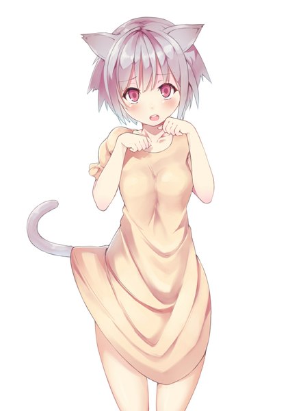 Anime picture 800x1131 with original kakutasu single tall image looking at viewer blush short hair open mouth simple background red eyes standing white background animal ears silver hair tail animal tail cat ears short sleeves cat girl cat tail
