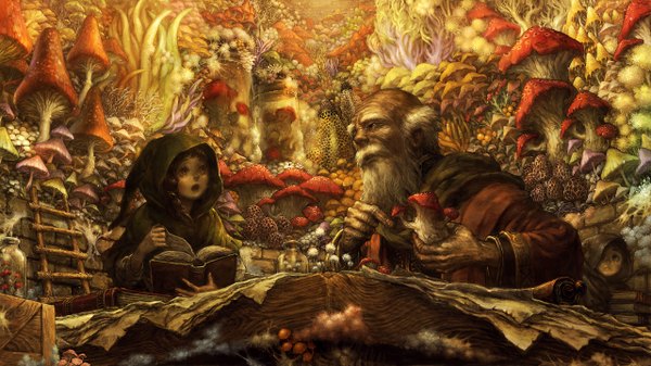 Anime picture 2560x1440 with dragon's crown vanillaware long hair highres open mouth wide image holding brown eyes old man girl boy book (books) hood table mantle beard box mushroom (mushrooms) chariot