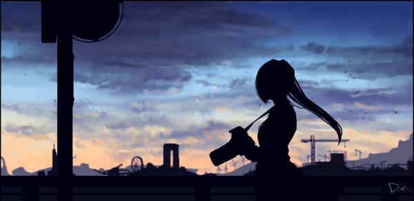 Anime picture 1200x585 with original dreamcatcher single long hair wide image standing holding signed sky cloud (clouds) evening sunset landscape girl animal bird (birds) camera traffic sign sign crane