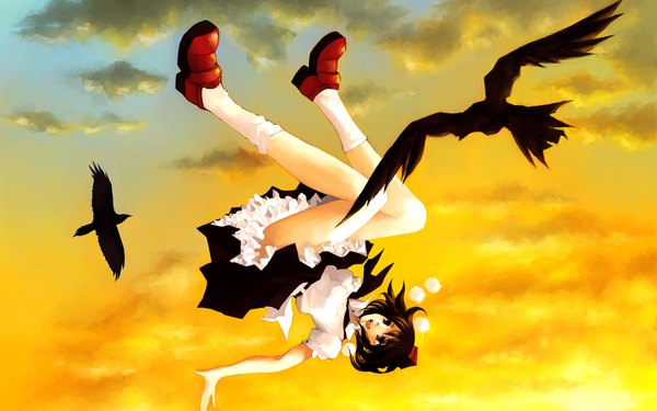 Anime picture 1600x1000 with touhou shameimaru aya black hair wide image girl skirt hat animal wings bird (birds) crow goldregen